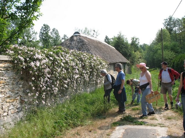 2007 04 Plantes alimentaires 11